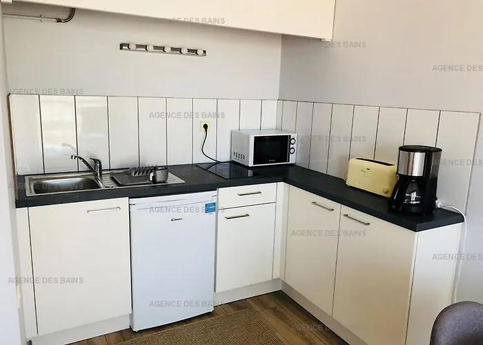 Renove A 200m De La - Parking Prive - Fr-1-433-37 * Arcachon